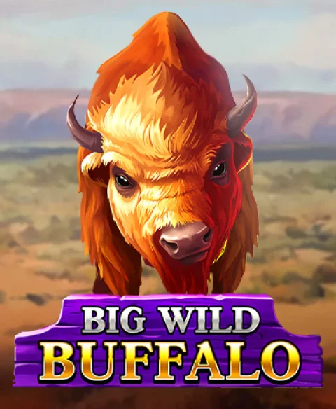 Play Big Wild Buffalo at High Stakes World Casino